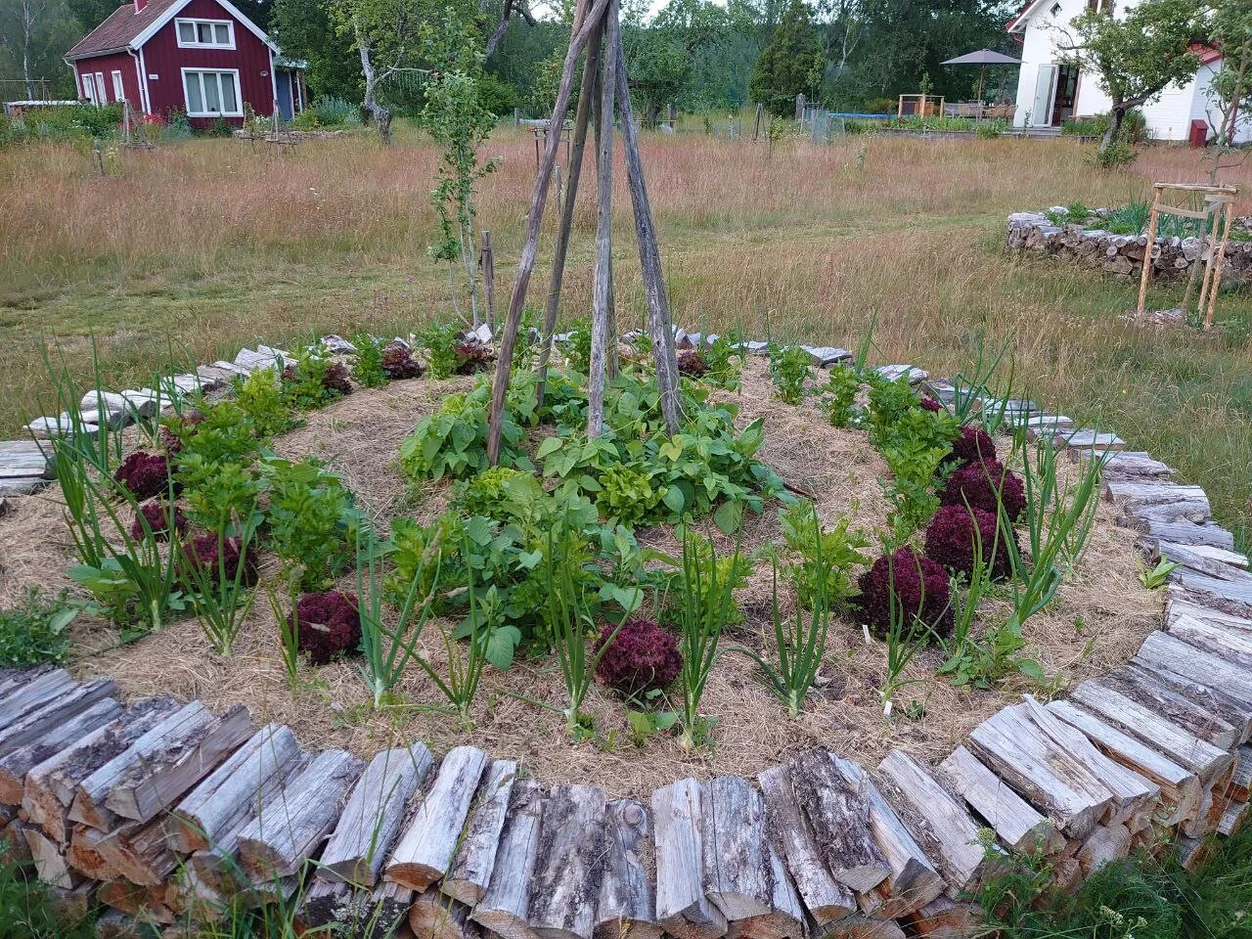Trollslända Lunden Lantgård studiebesök
