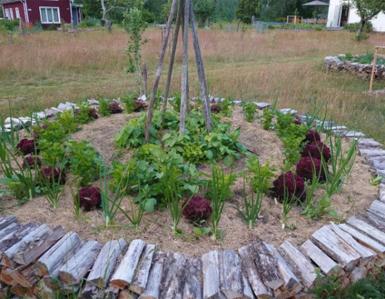 Trädgårdsbesök Bolsgården, Trollslända Lunden & Ödevata