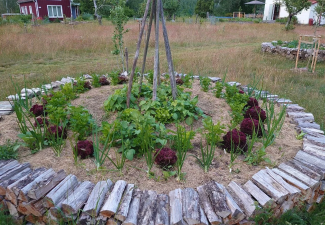Trädgårdsbesök Bolsgården, Trollslända Lunden & Ödevata