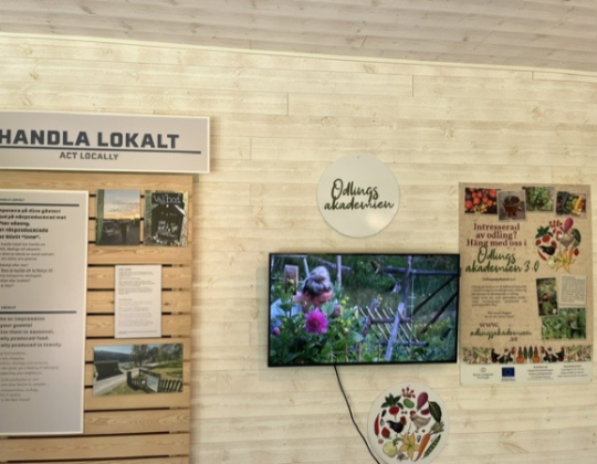 Astrid Lindgrens Näs och Odlingsakademien sommaren 2026