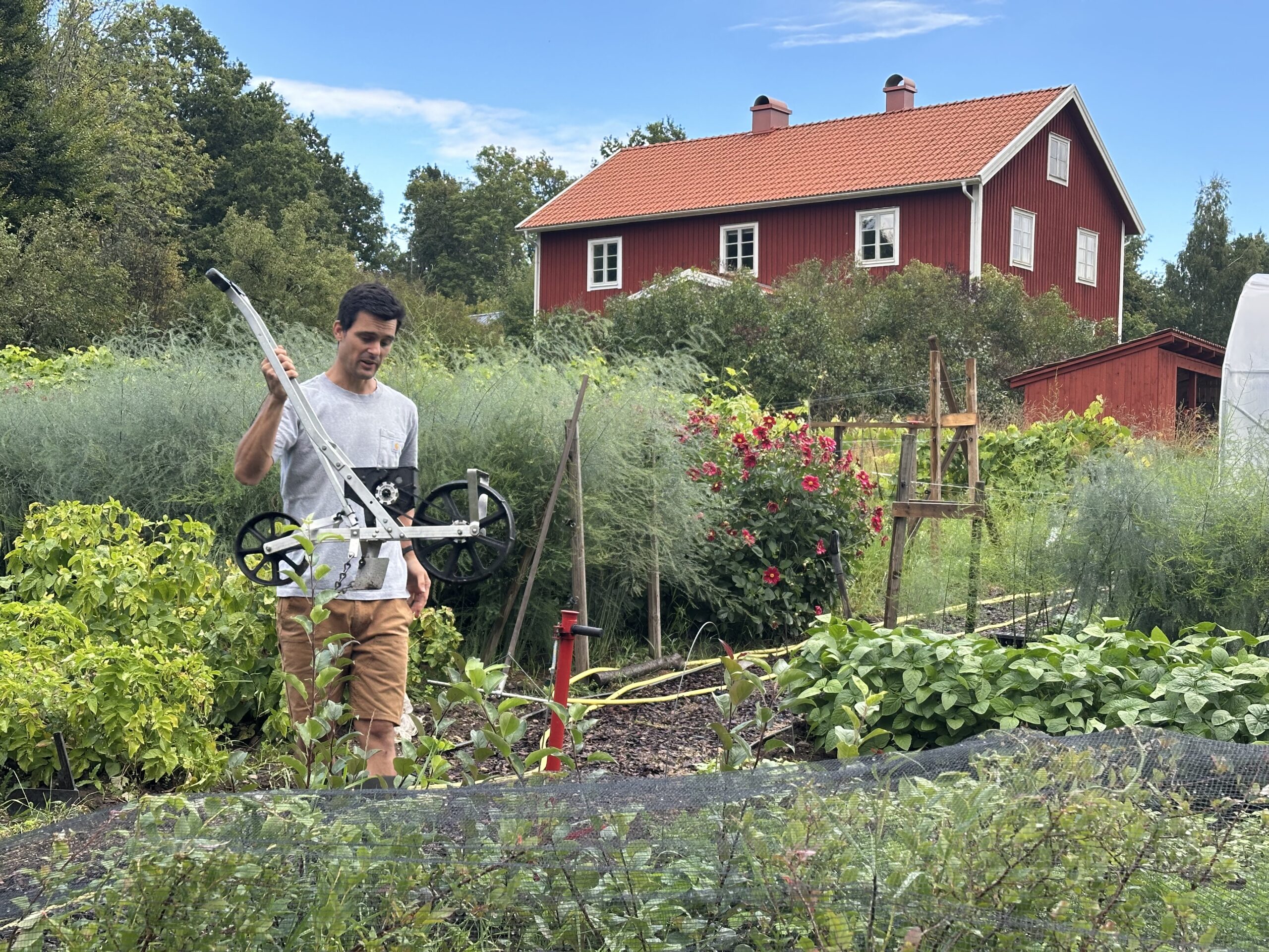 IMG_5337 Bolsgården studiebesök 24 augusti Odlingsakademien